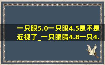 一只眼5.0一只眼4.5是不是近视了_一只眼睛4.8一只4.6是近视了吗