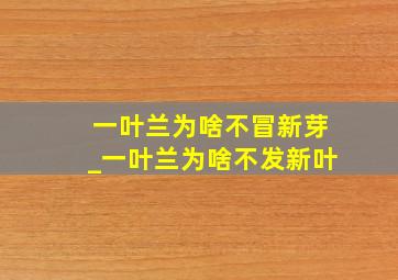 一叶兰为啥不冒新芽_一叶兰为啥不发新叶