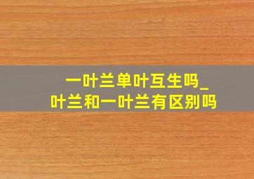 一叶兰单叶互生吗_叶兰和一叶兰有区别吗