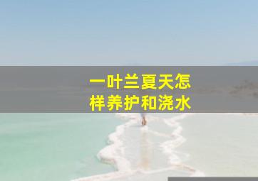 一叶兰夏天怎样养护和浇水