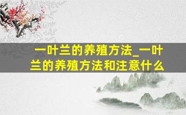 一叶兰的养殖方法_一叶兰的养殖方法和注意什么