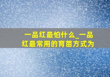 一品红最怕什么_一品红最常用的育苗方式为