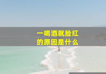 一喝酒就脸红的原因是什么