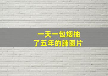 一天一包烟抽了五年的肺图片