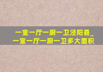 一室一厅一厨一卫泾阳县_一室一厅一厨一卫多大面积