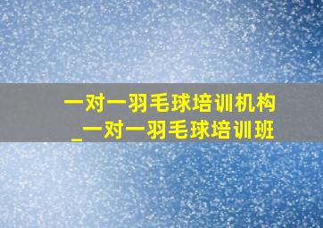 一对一羽毛球培训机构_一对一羽毛球培训班