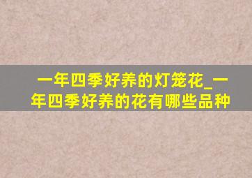 一年四季好养的灯笼花_一年四季好养的花有哪些品种