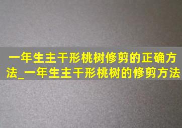 一年生主干形桃树修剪的正确方法_一年生主干形桃树的修剪方法