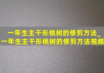 一年生主干形桃树的修剪方法_一年生主干形桃树的修剪方法视频