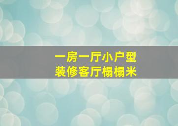 一房一厅小户型装修客厅榻榻米