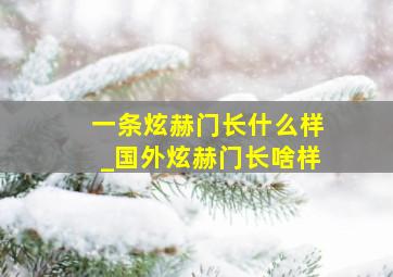 一条炫赫门长什么样_国外炫赫门长啥样