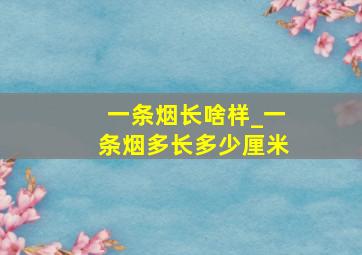 一条烟长啥样_一条烟多长多少厘米