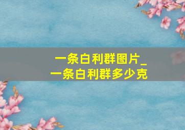 一条白利群图片_一条白利群多少克