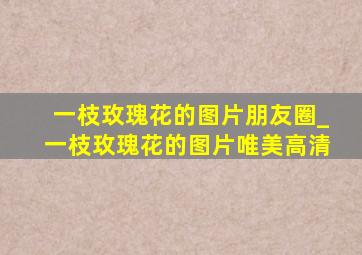 一枝玫瑰花的图片朋友圈_一枝玫瑰花的图片唯美高清