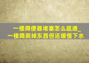 一楼蹲便器堵塞怎么疏通_一楼蹲厕掉东西但还缓慢下水