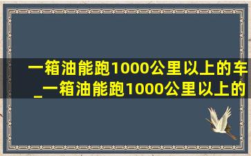 一箱油能跑1000公里以上的车_一箱油能跑1000公里以上的车suv