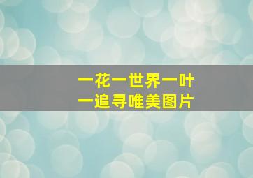 一花一世界一叶一追寻唯美图片