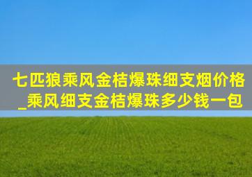 七匹狼乘风金桔爆珠细支烟价格_乘风细支金桔爆珠多少钱一包