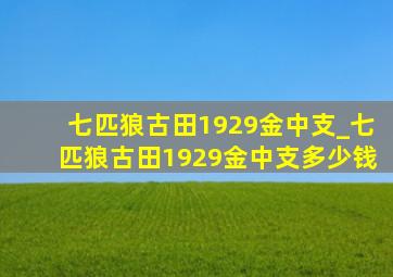 七匹狼古田1929金中支_七匹狼古田1929金中支多少钱