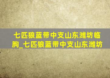 七匹狼蓝带中支山东潍坊临朐_七匹狼蓝带中支山东潍坊