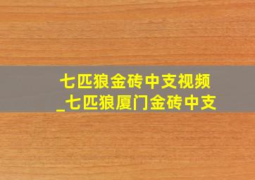 七匹狼金砖中支视频_七匹狼厦门金砖中支