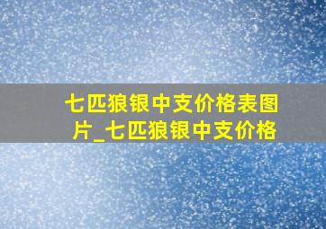 七匹狼银中支价格表图片_七匹狼银中支价格