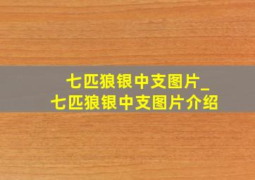 七匹狼银中支图片_七匹狼银中支图片介绍