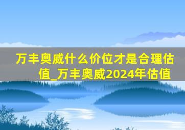 万丰奥威什么价位才是合理估值_万丰奥威2024年估值