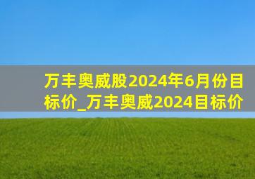 万丰奥威股2024年6月份目标价_万丰奥威2024目标价