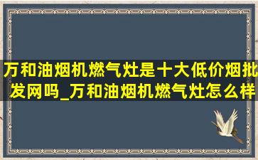 万和油烟机燃气灶是十大(低价烟批发网)吗_万和油烟机燃气灶怎么样