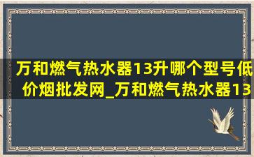 万和燃气热水器13升哪个型号(低价烟批发网)_万和燃气热水器13升哪个型号好用