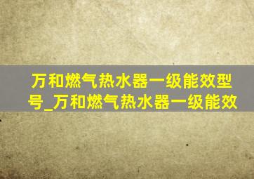 万和燃气热水器一级能效型号_万和燃气热水器一级能效