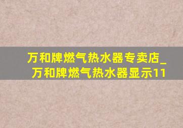 万和牌燃气热水器专卖店_万和牌燃气热水器显示11