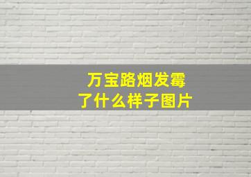 万宝路烟发霉了什么样子图片