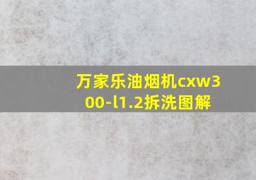 万家乐油烟机cxw300-l1.2拆洗图解