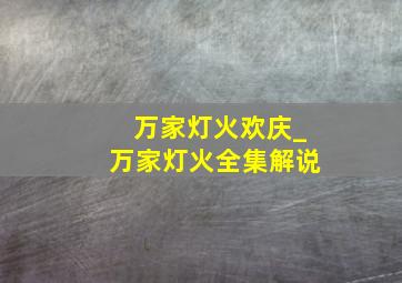 万家灯火欢庆_万家灯火全集解说