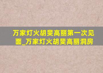 万家灯火胡斐高丽第一次见面_万家灯火胡斐高丽洞房