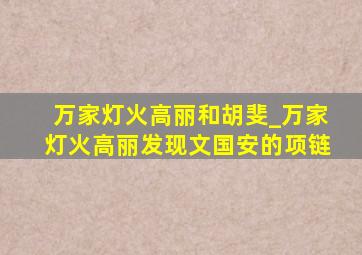 万家灯火高丽和胡斐_万家灯火高丽发现文国安的项链