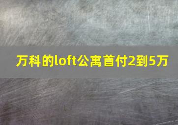 万科的loft公寓首付2到5万