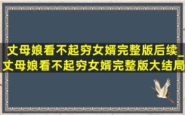 丈母娘看不起穷女婿完整版后续_丈母娘看不起穷女婿完整版大结局