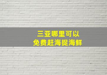 三亚哪里可以免费赶海捉海鲜