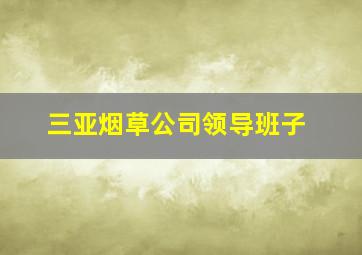 三亚烟草公司领导班子