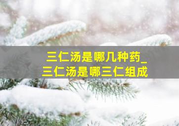 三仁汤是哪几种药_三仁汤是哪三仁组成