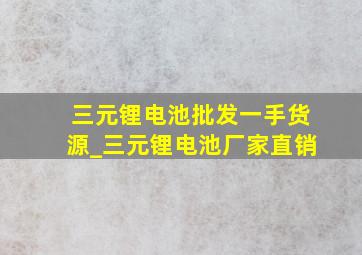 三元锂电池批发一手货源_三元锂电池厂家直销