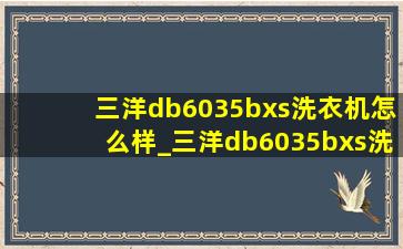 三洋db6035bxs洗衣机怎么样_三洋db6035bxs洗衣机单独脱水