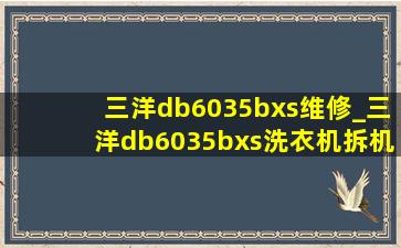 三洋db6035bxs维修_三洋db6035bxs洗衣机拆机