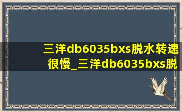 三洋db6035bxs脱水转速很慢_三洋db6035bxs脱水抖动