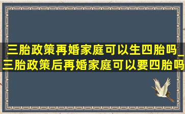 三胎政策再婚家庭可以生四胎吗_三胎政策后再婚家庭可以要四胎吗