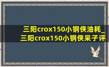 三阳crox150小钢侠油耗_三阳crox150小钢侠呆子评测