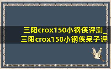 三阳crox150小钢侠评测_三阳crox150小钢侠呆子评测